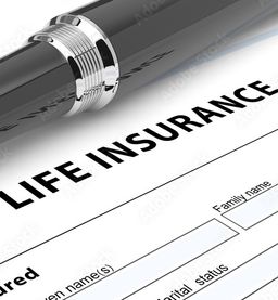 Life Insurance Calculator 